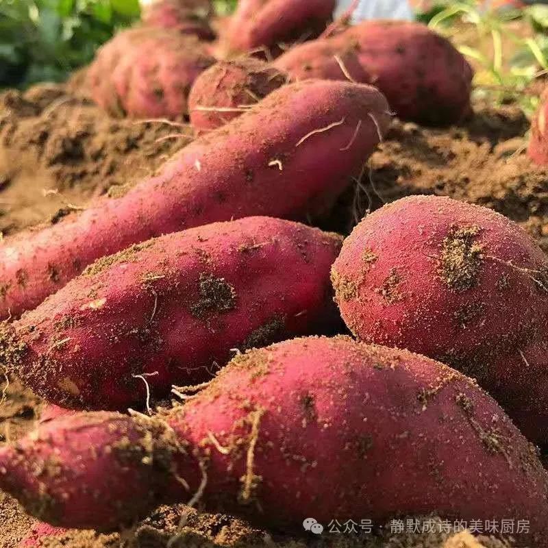 海南澄迈富硒地瓜产地（海南澄迈桥头富硒地瓜营养价值）-硒宝网