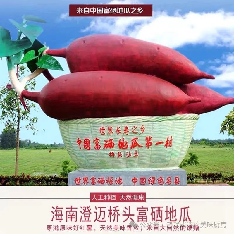 海南澄迈富硒地瓜产地(海南富硒地瓜是毒地瓜吗)-硒宝网