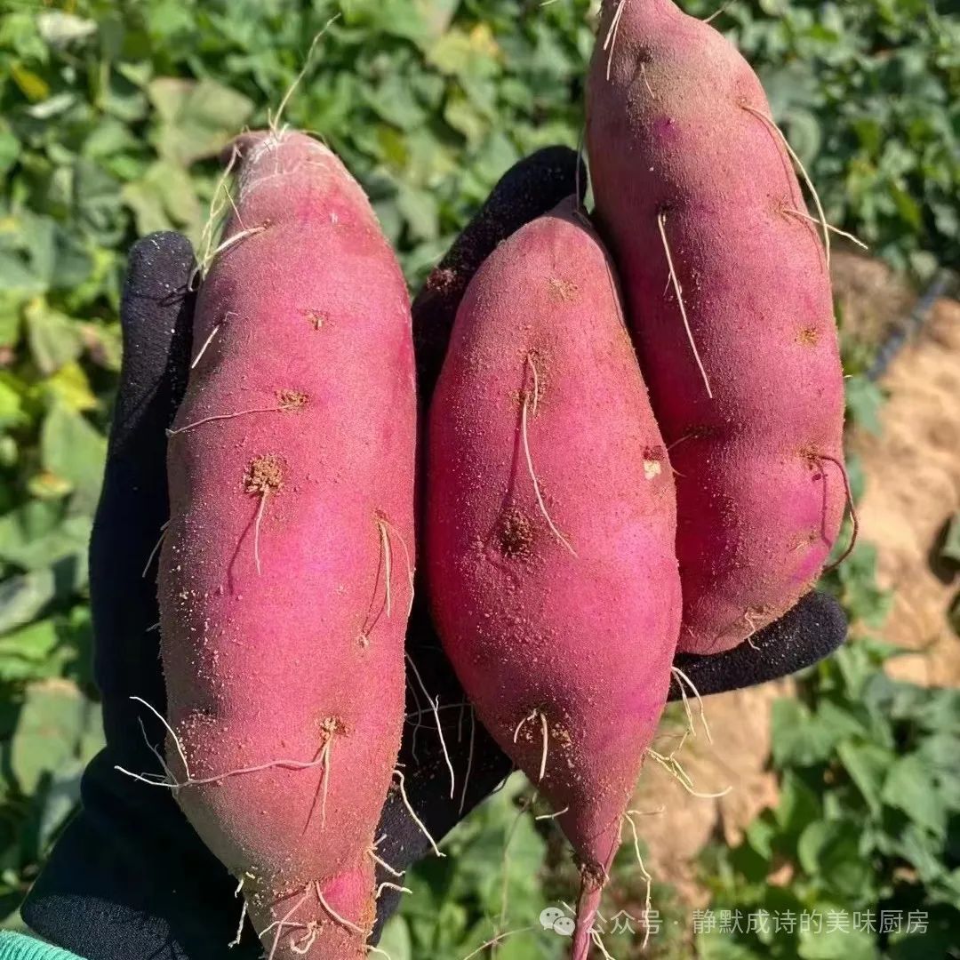 海南澄迈富硒地瓜产地(海南富硒地瓜是毒地瓜吗)-硒宝网