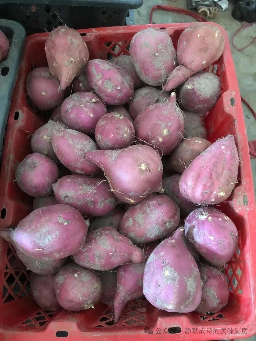 海南澄迈富硒地瓜产地(海南富硒地瓜是毒地瓜吗)-硒宝网