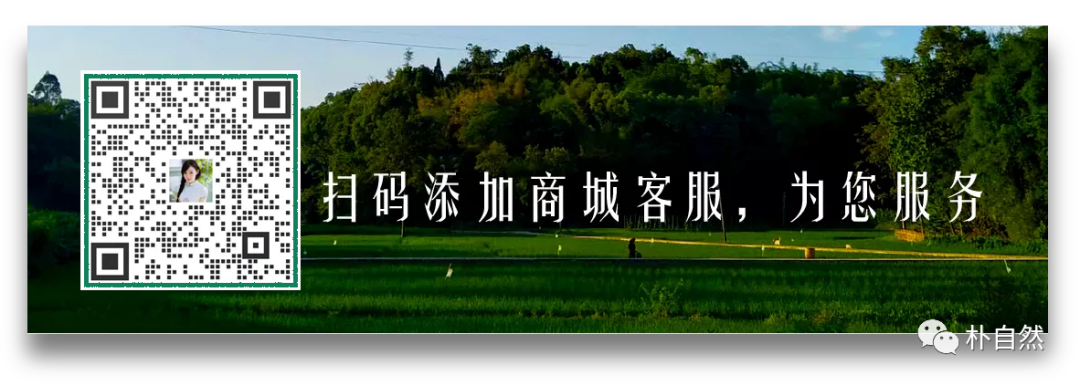 儋州富硒地瓜种植时间（富硒地瓜亩产多少斤）-硒宝网