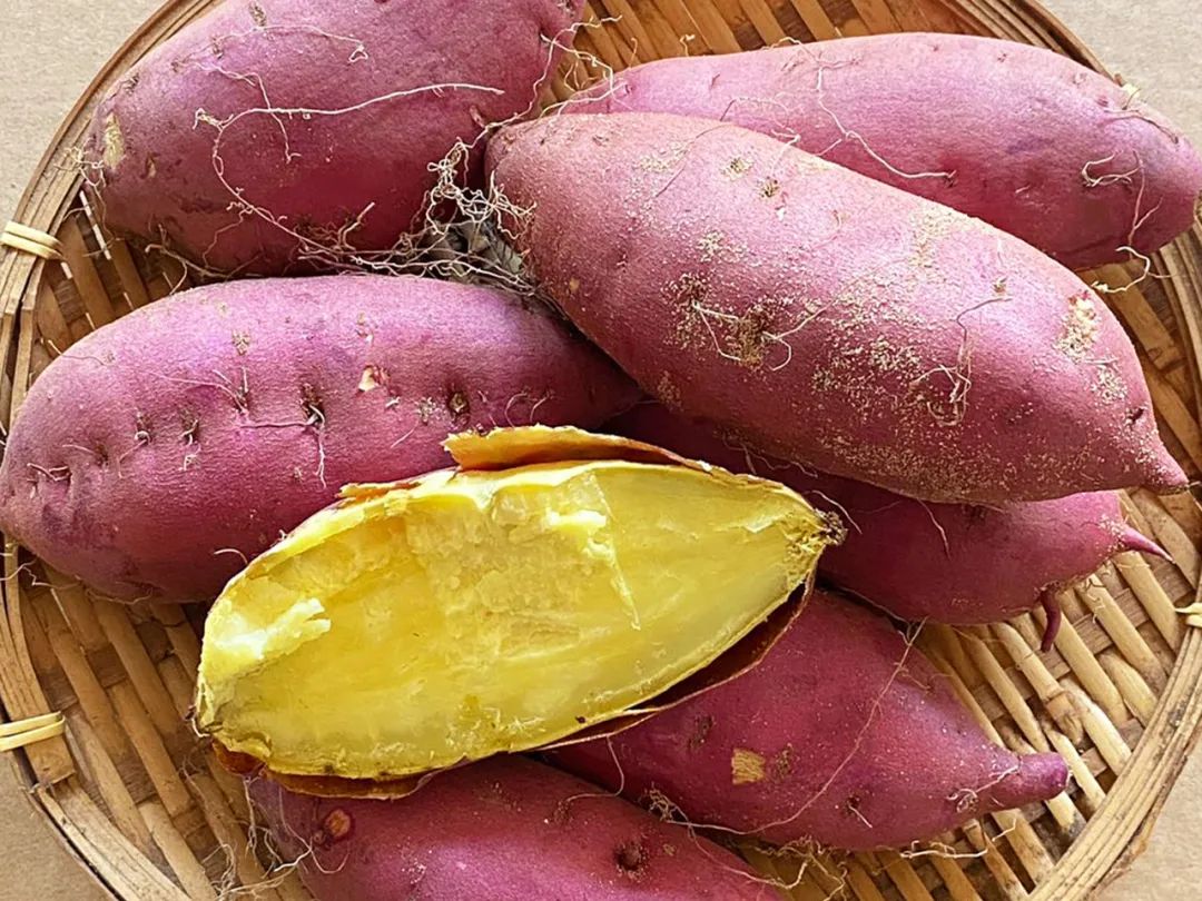 海南澄迈富硒地瓜价格(海南澄迈地瓜上市时间)-硒宝网