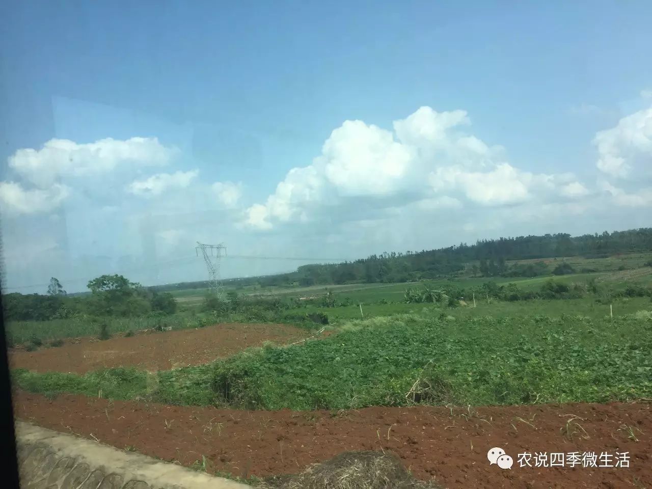 海南澄迈富硒地瓜价格(海南澄迈县富硒地瓜)-硒宝网