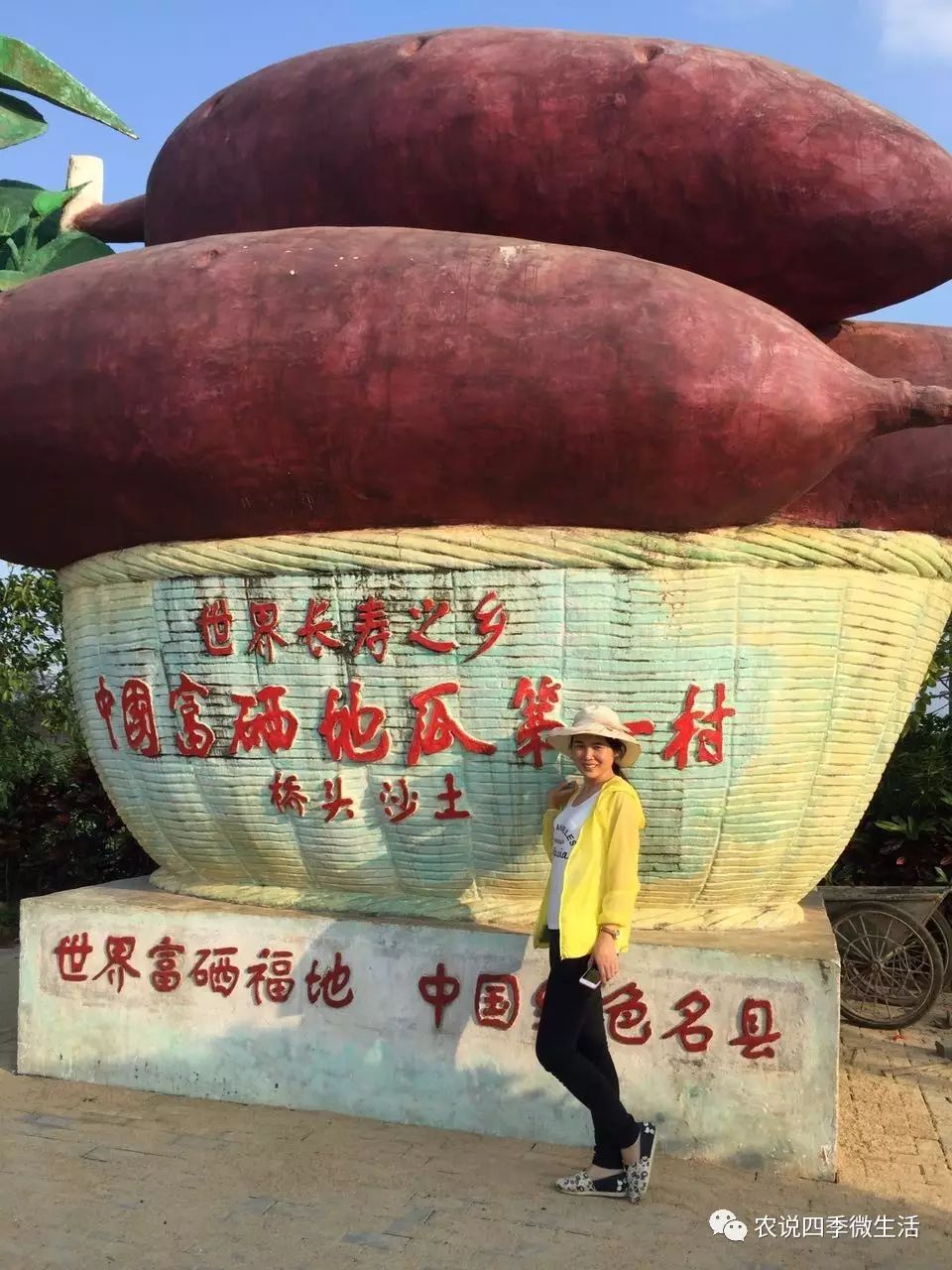 海南澄迈富硒地瓜价格(海南澄迈县富硒地瓜)-硒宝网