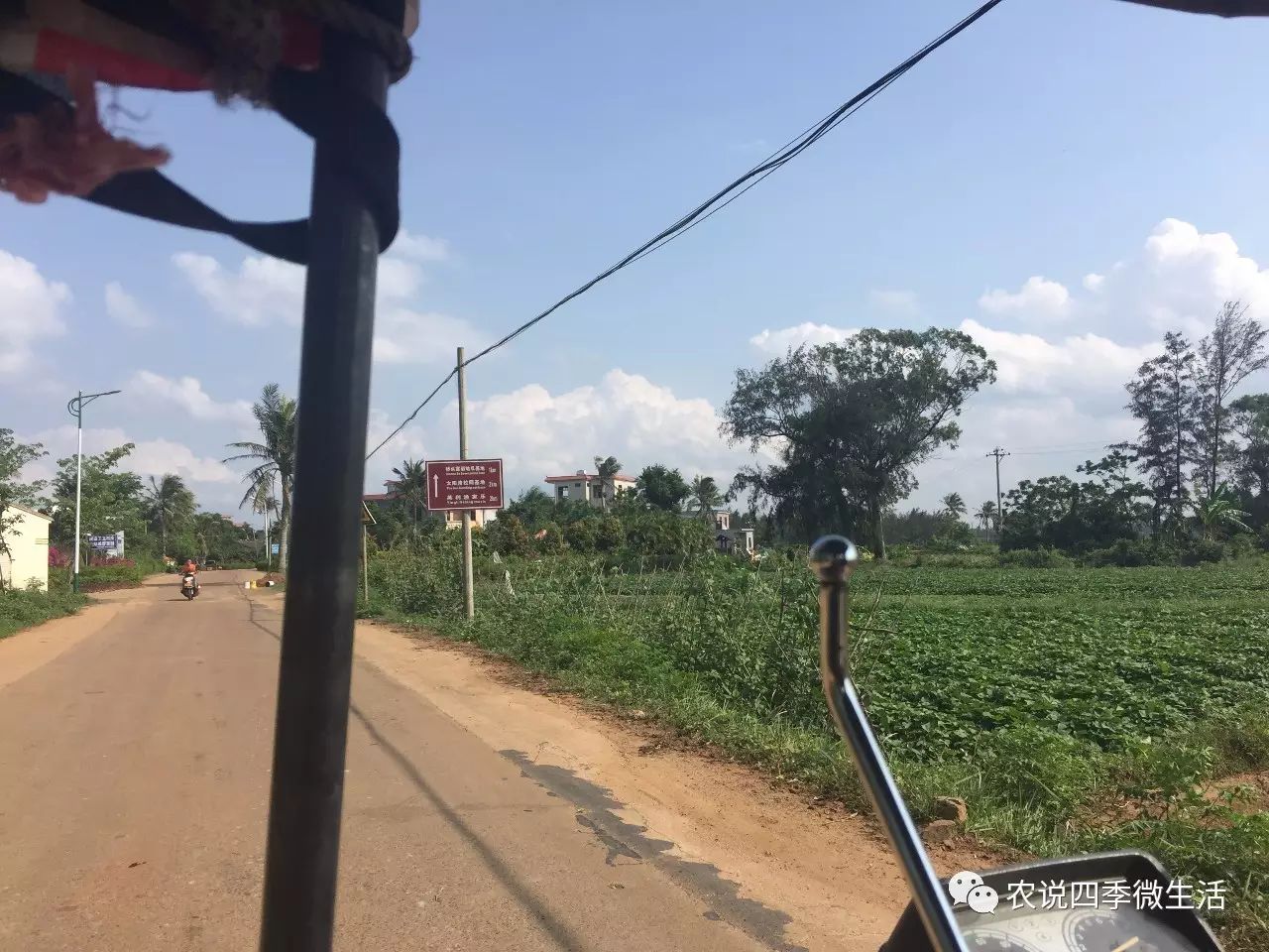 海南澄迈富硒地瓜价格(海南澄迈县富硒地瓜)-硒宝网