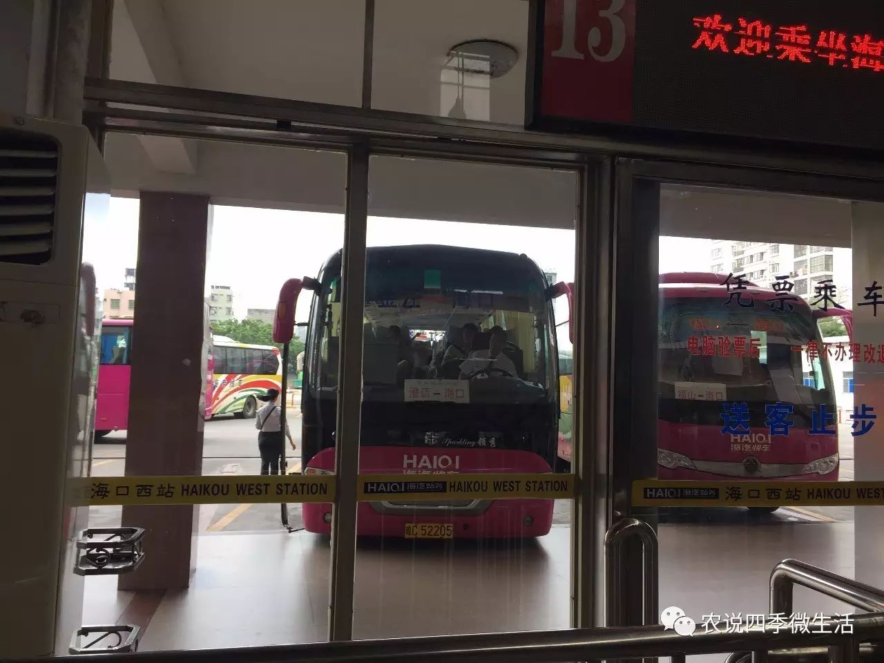 海南澄迈富硒地瓜价格(海南澄迈县富硒地瓜)-硒宝网