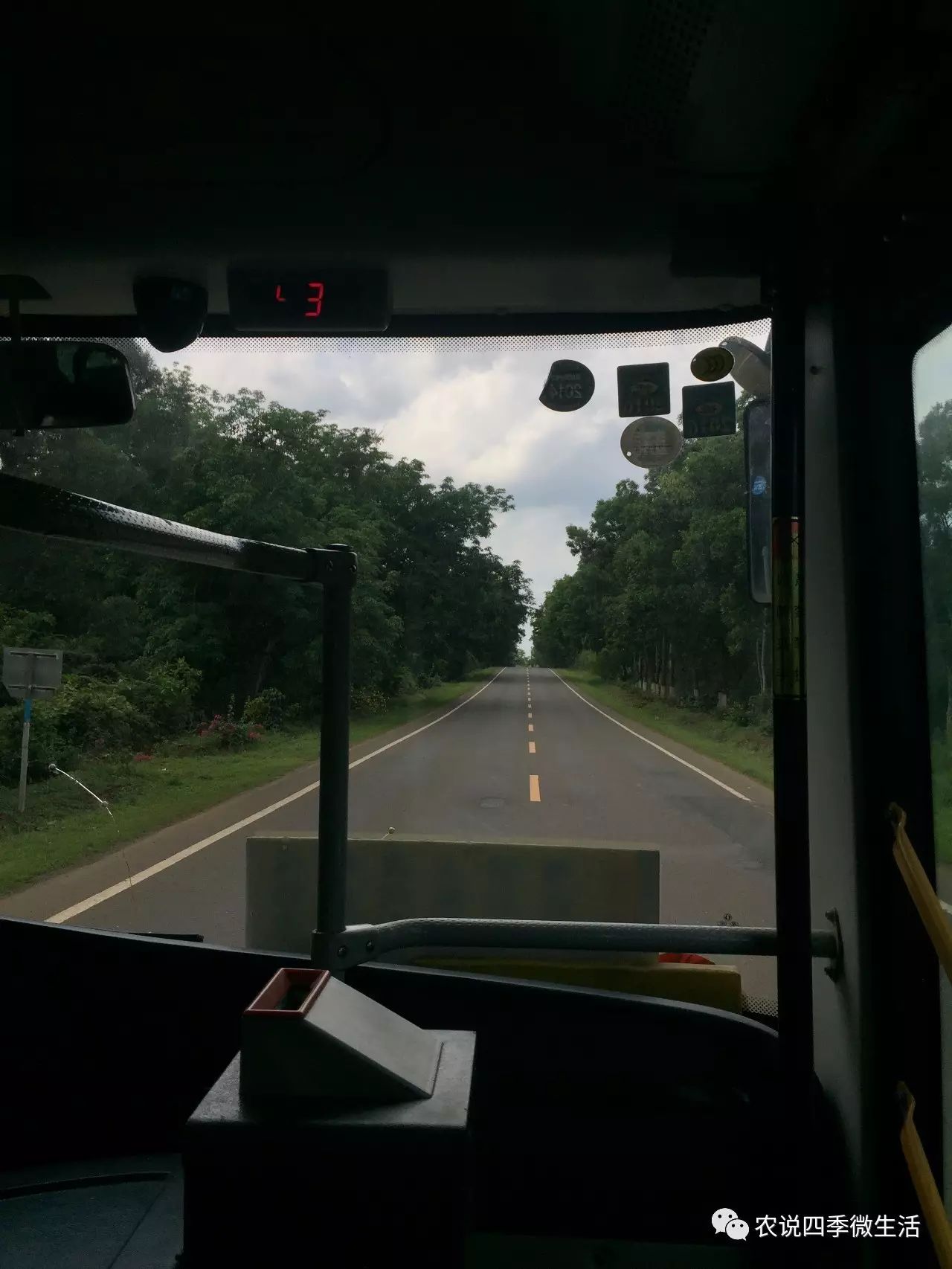 海南澄迈富硒地瓜价格(海南澄迈县富硒地瓜)-硒宝网