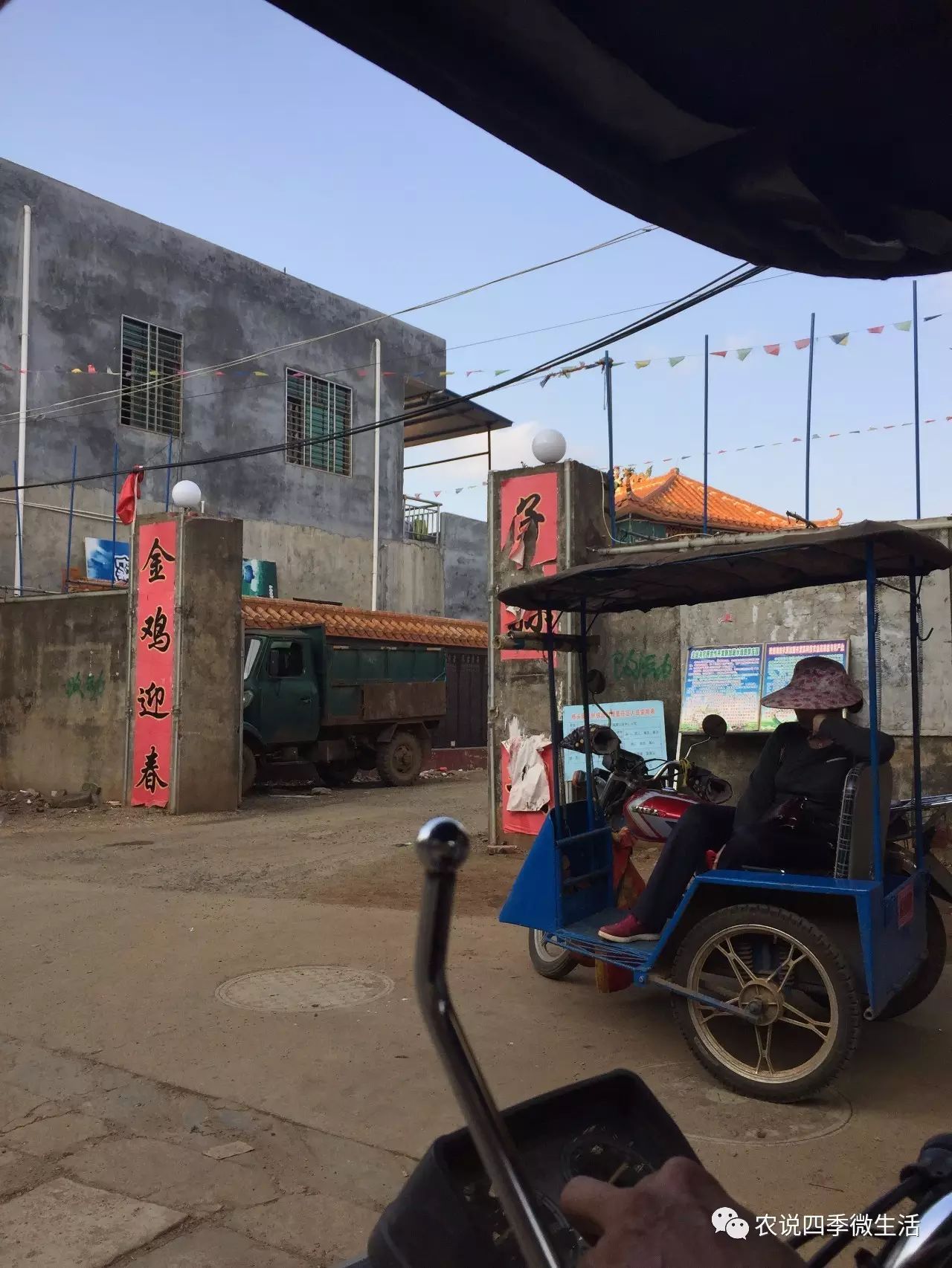 海南澄迈富硒地瓜价格(海南澄迈县富硒地瓜)-硒宝网