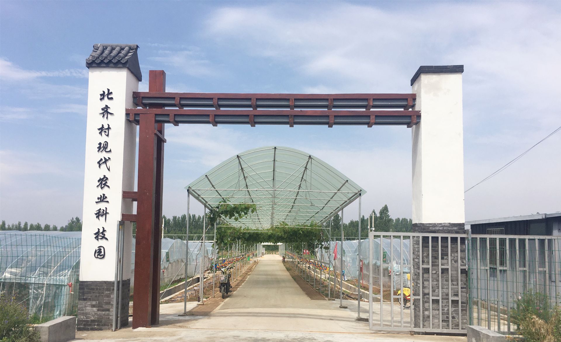 邹城富硒地瓜种植面积（富硒地瓜亩产多少斤）-硒宝网