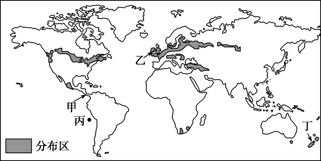 福建富硒地瓜种子价格(福建地瓜多少钱一斤)-硒宝网