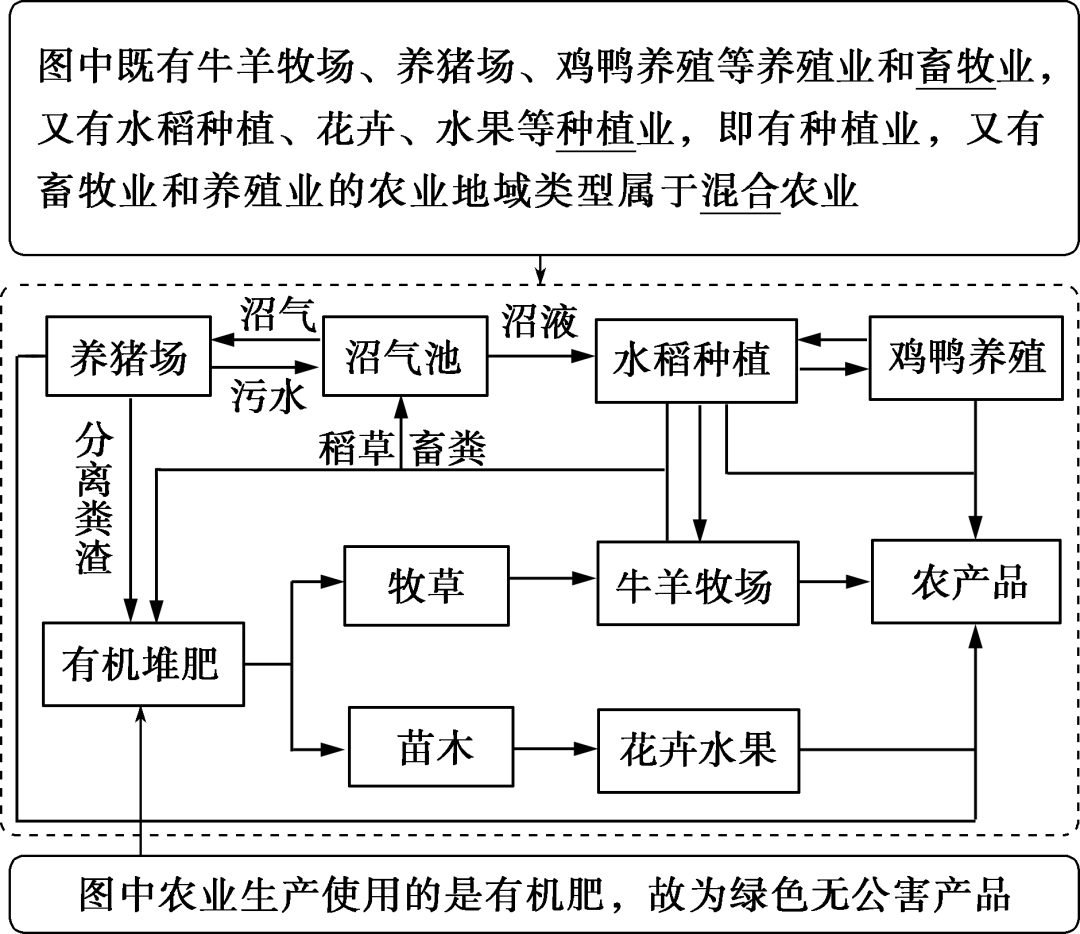 福建富硒地瓜种子价格(福建地瓜多少钱一斤)-硒宝网