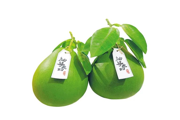 海南桥头富硒地瓜批发(海南桥头地瓜真的富含硒吗)-硒宝网