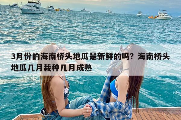 上市时间海南富硒地瓜(海南地瓜价格)-硒宝网