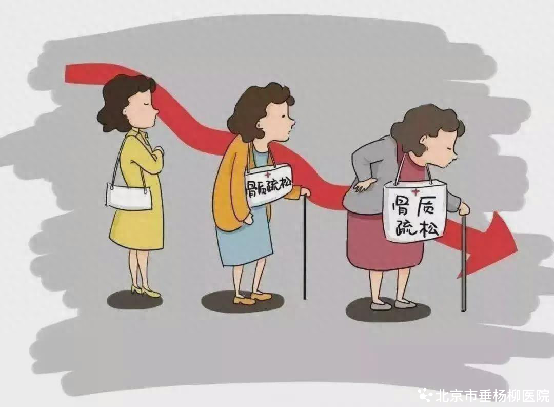 老年人怎么补钙(补钙老年人的方法)-硒宝网