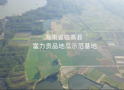 富硒地瓜是是什么品种（地瓜品种是富硒吗）-硒宝网