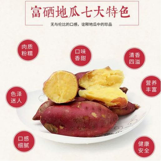 富硒地瓜是是什么品种（地瓜品种是富硒吗）-硒宝网