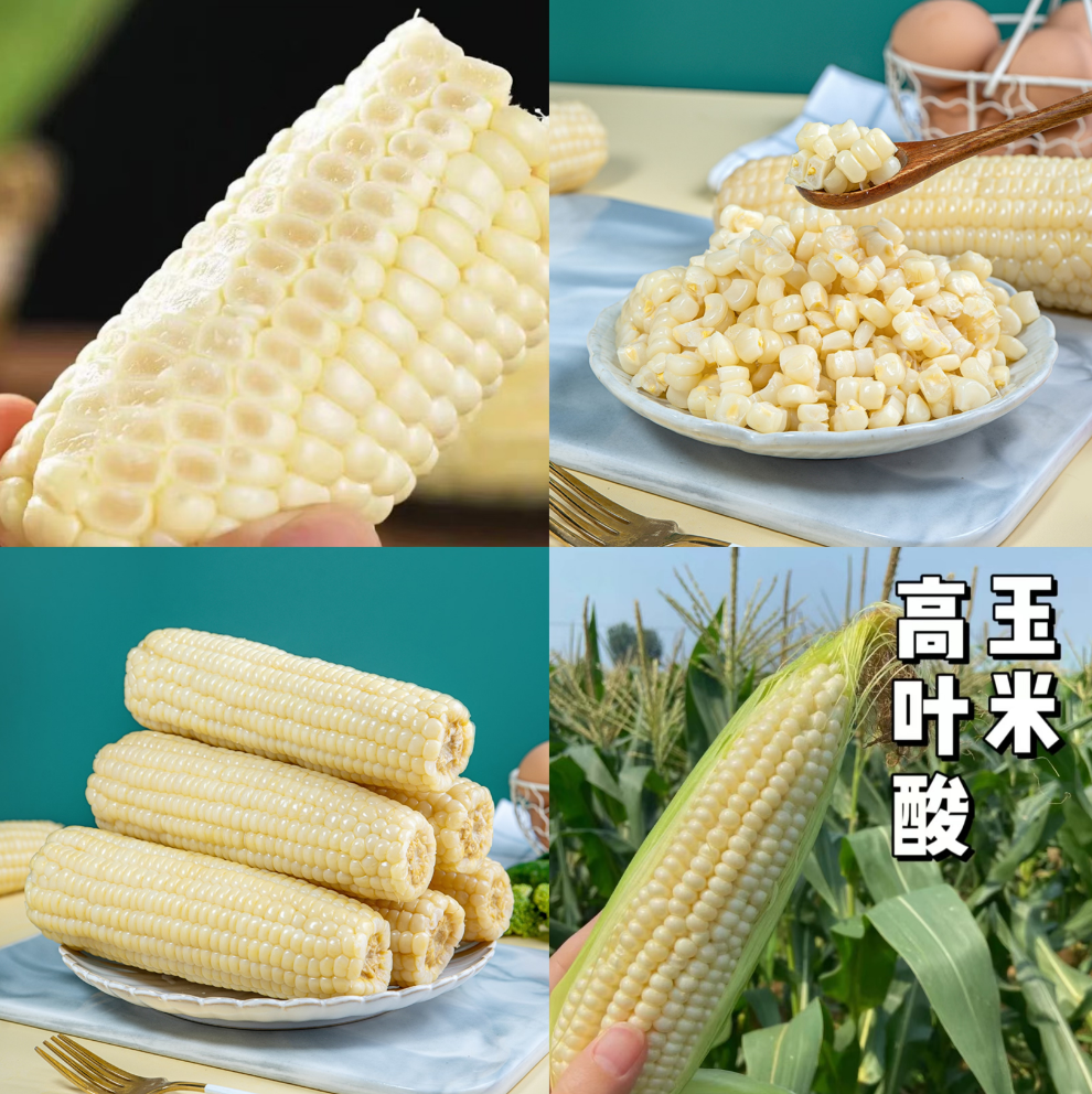 孕妇能多吃富硒地瓜吗(孕妇可以吃富硒地瓜吗)-硒宝网