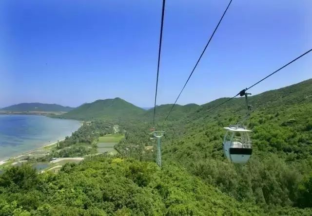 澄迈桥头富硒地瓜粉吗(澄迈桥头地瓜多少钱一斤)-硒宝网