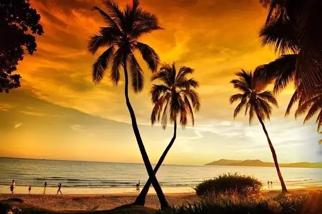 澄迈桥头富硒地瓜粉吗(澄迈桥头地瓜多少钱一斤)-硒宝网