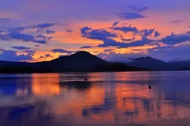 澄迈桥头富硒地瓜粉吗(澄迈桥头地瓜多少钱一斤)-硒宝网