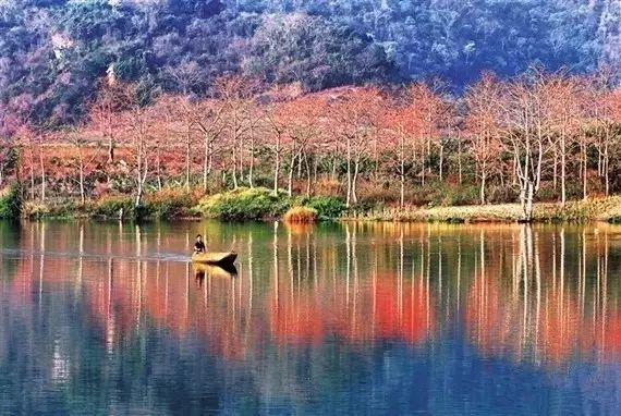 澄迈桥头富硒地瓜粉吗（海南澄迈桥头富硒地瓜营养价值）-硒宝网