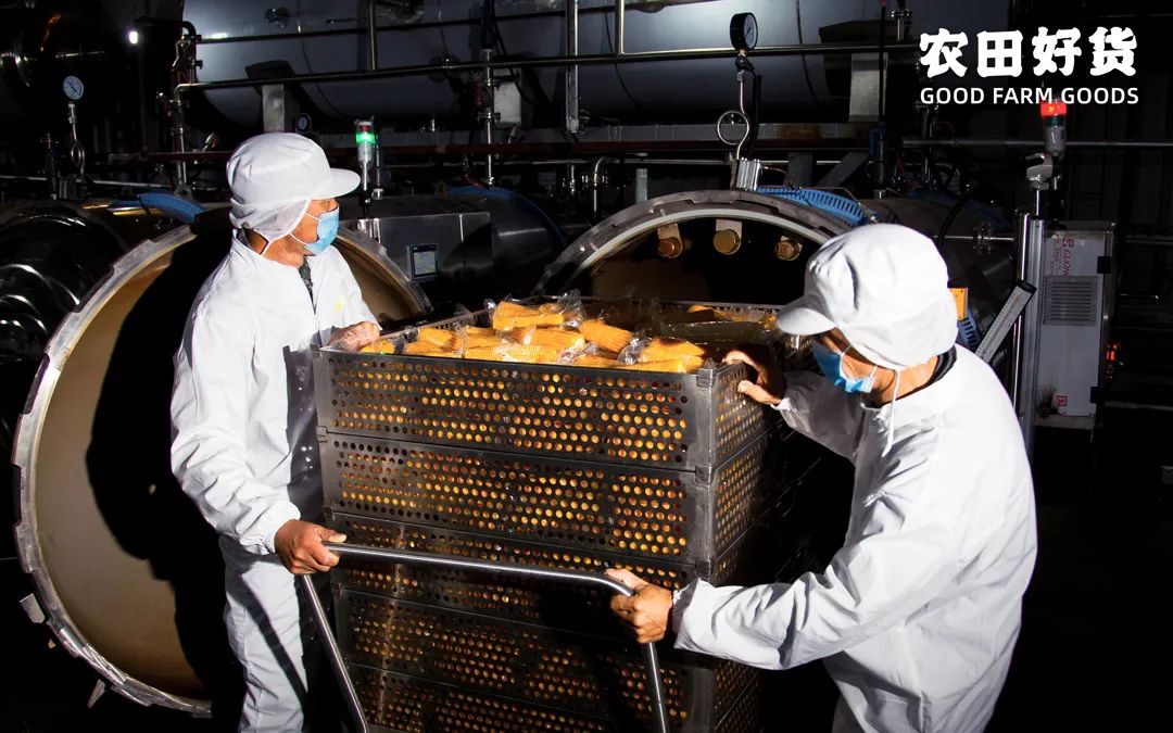 孕妇能多吃富硒地瓜吗（孕妇能地瓜吃富硒吗）-硒宝网