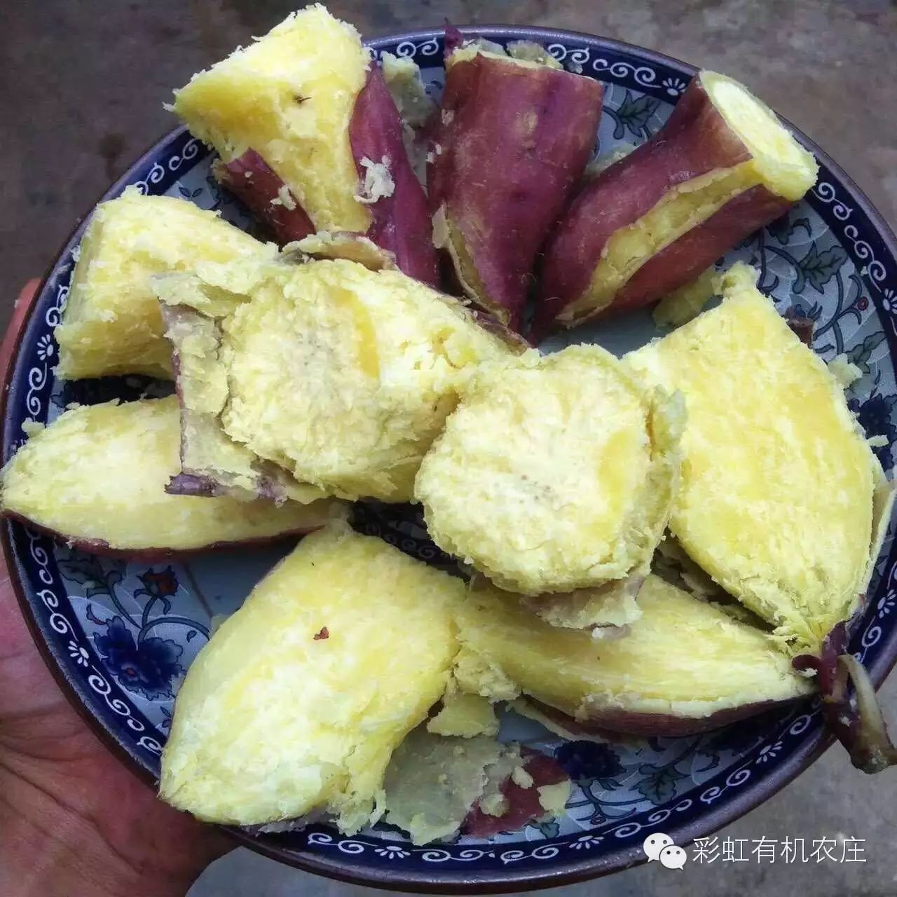 海南桥头富硒地瓜超甜(海南桥头地瓜营养价值)-硒宝网