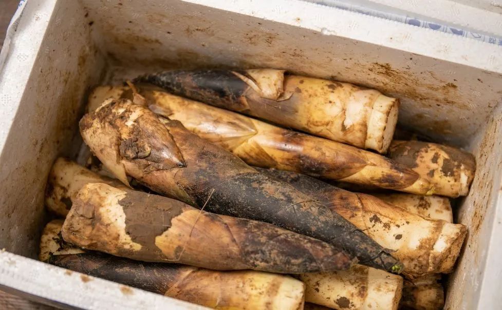 孕妇能多吃富硒地瓜吗(孕妇能吃富硒的东西吗)-硒宝网