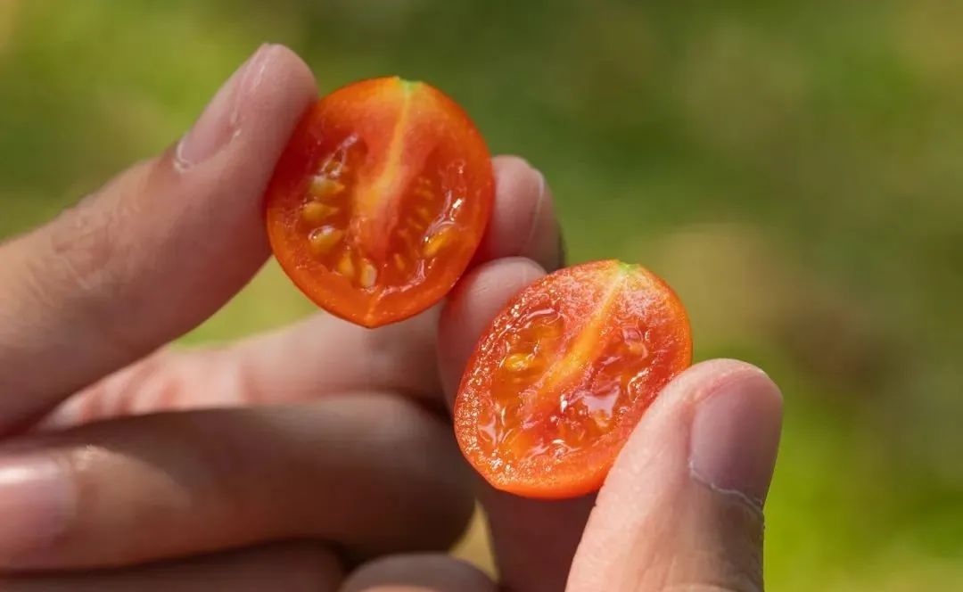 孕妇能多吃富硒地瓜吗(孕妇能吃富硒的东西吗)-硒宝网