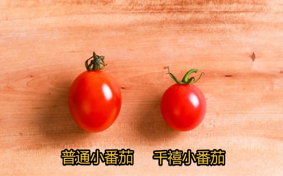 孕妇能多吃富硒地瓜吗(孕妇能吃富硒的东西吗)-硒宝网