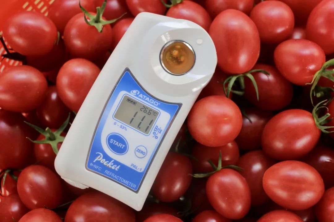 孕妇能多吃富硒地瓜吗(孕妇能吃富硒的东西吗)-硒宝网