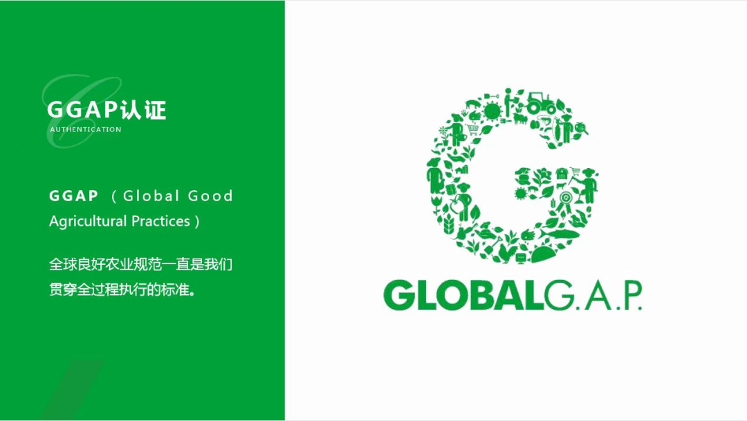 孕妇能多吃富硒地瓜吗(孕妇能吃富硒的东西吗)-硒宝网