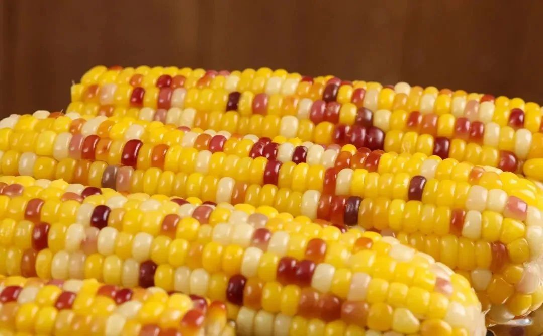 孕妇能多吃富硒地瓜吗(孕妇能吃富硒的东西吗)-硒宝网