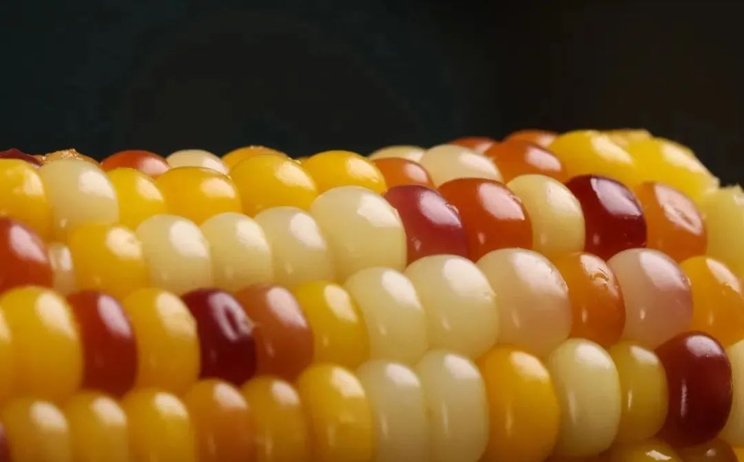 孕妇能多吃富硒地瓜吗(孕妇能吃富硒的东西吗)-硒宝网