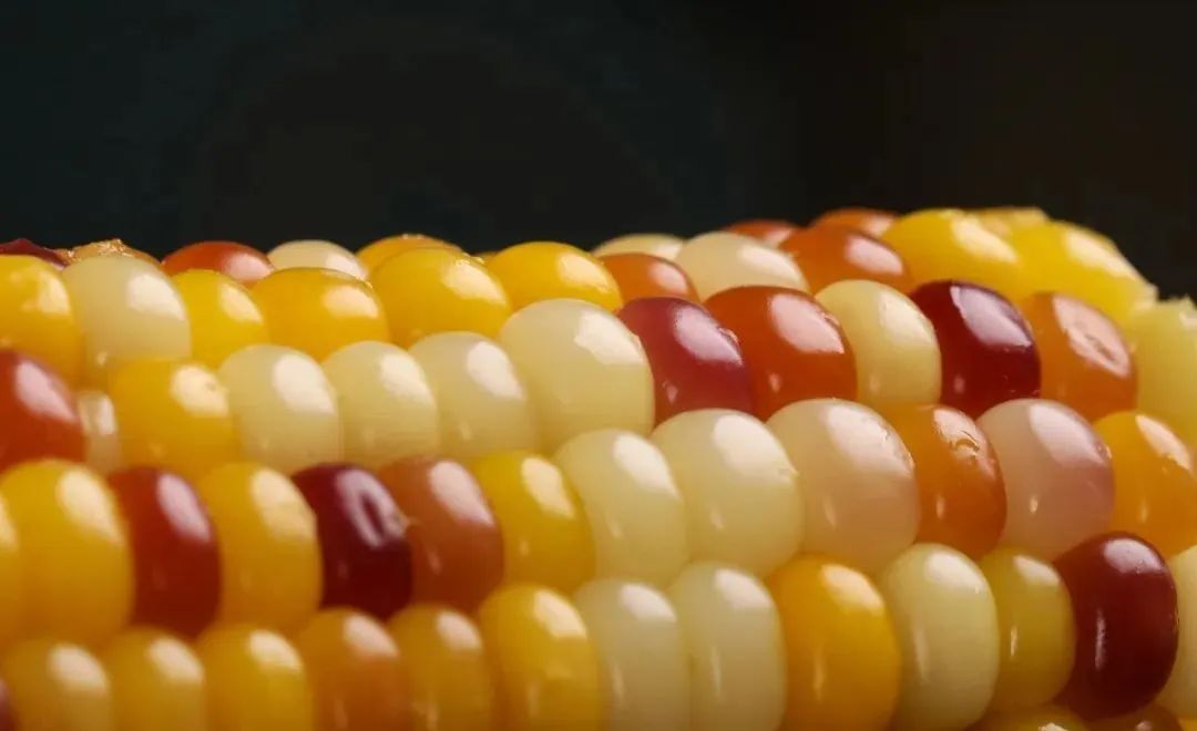 孕妇能多吃富硒地瓜吗(孕妇能吃富硒的东西吗)-硒宝网