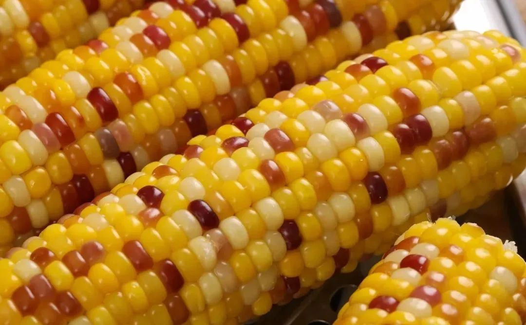 孕妇能多吃富硒地瓜吗(孕妇能吃富硒的东西吗)-硒宝网