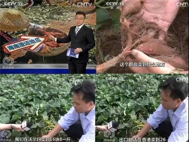 小孩可以吃富硒地瓜吗(小孩地瓜吃富硒可以吗)-硒宝网