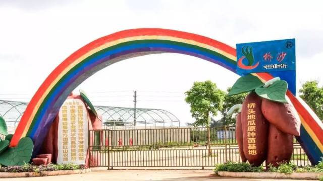 小孩可以吃富硒地瓜吗(小孩地瓜吃富硒可以吗)-硒宝网