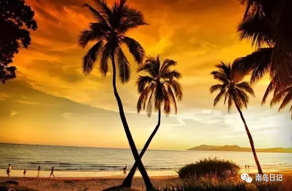 澄迈桥头富硒地瓜粉吗(澄迈桥头镇桥头地瓜)-硒宝网