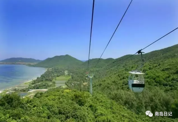 澄迈桥头富硒地瓜粉吗(澄迈桥头镇桥头地瓜)-硒宝网