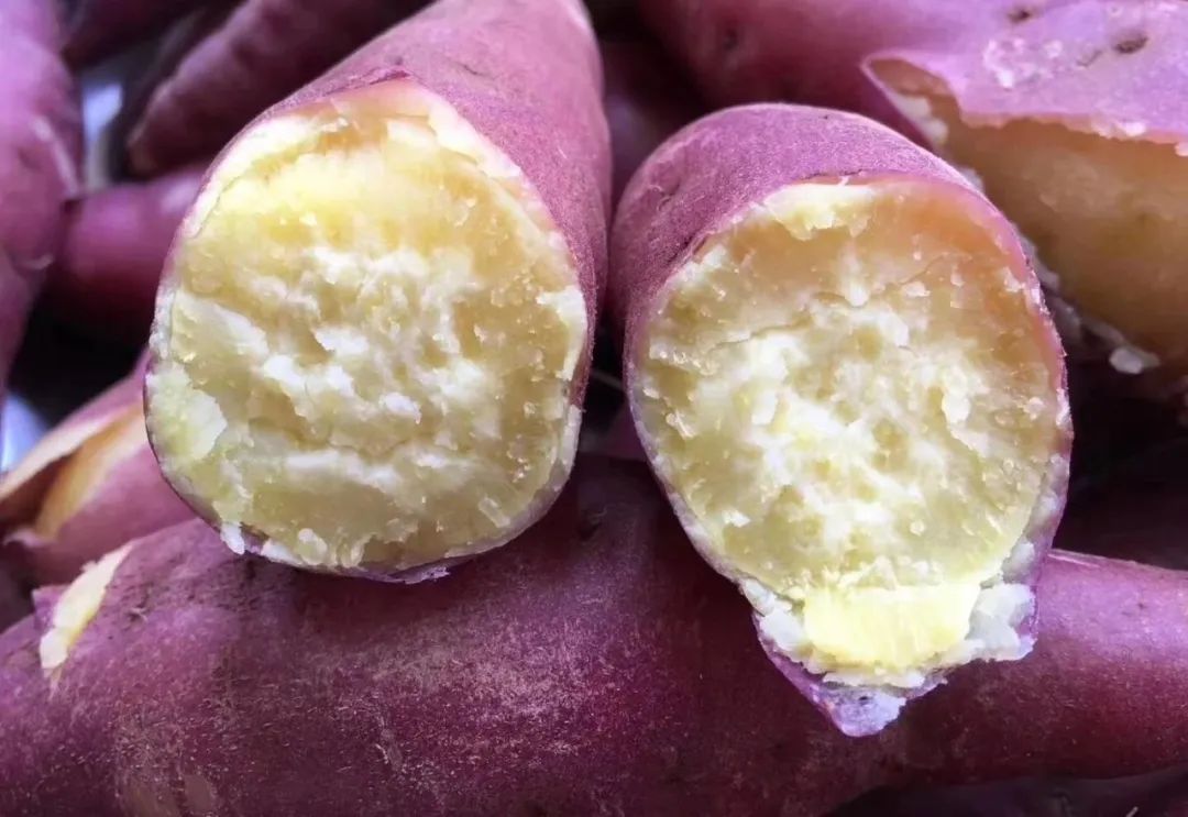 富硒地瓜的功效和作用(富硒地瓜营养价值)-硒宝网