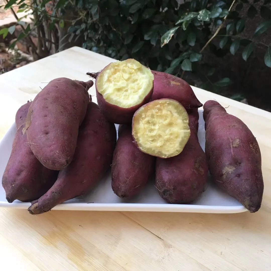 富硒地瓜的功效和作用(富硒地瓜营养价值)-硒宝网