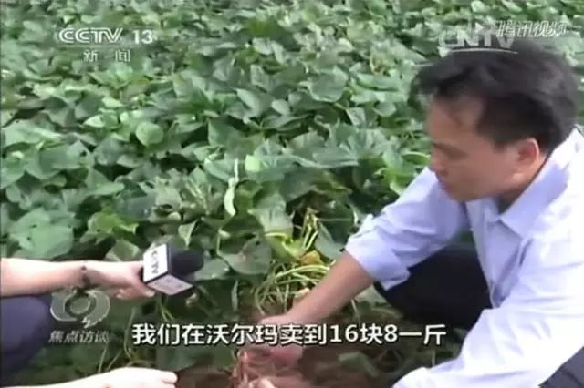 富硒地瓜的功效和作用(富硒地瓜营养价值)-硒宝网