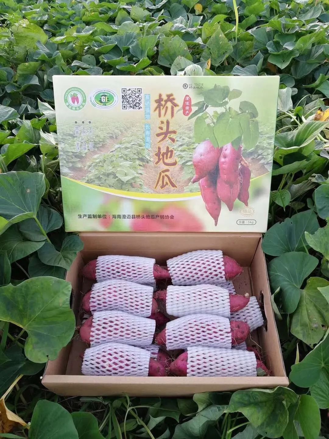 富硒地瓜的功效和作用(富硒地瓜营养价值)-硒宝网