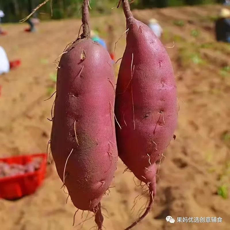 烤富硒地瓜的做法烤箱(烤箱食谱烤地瓜)-硒宝网