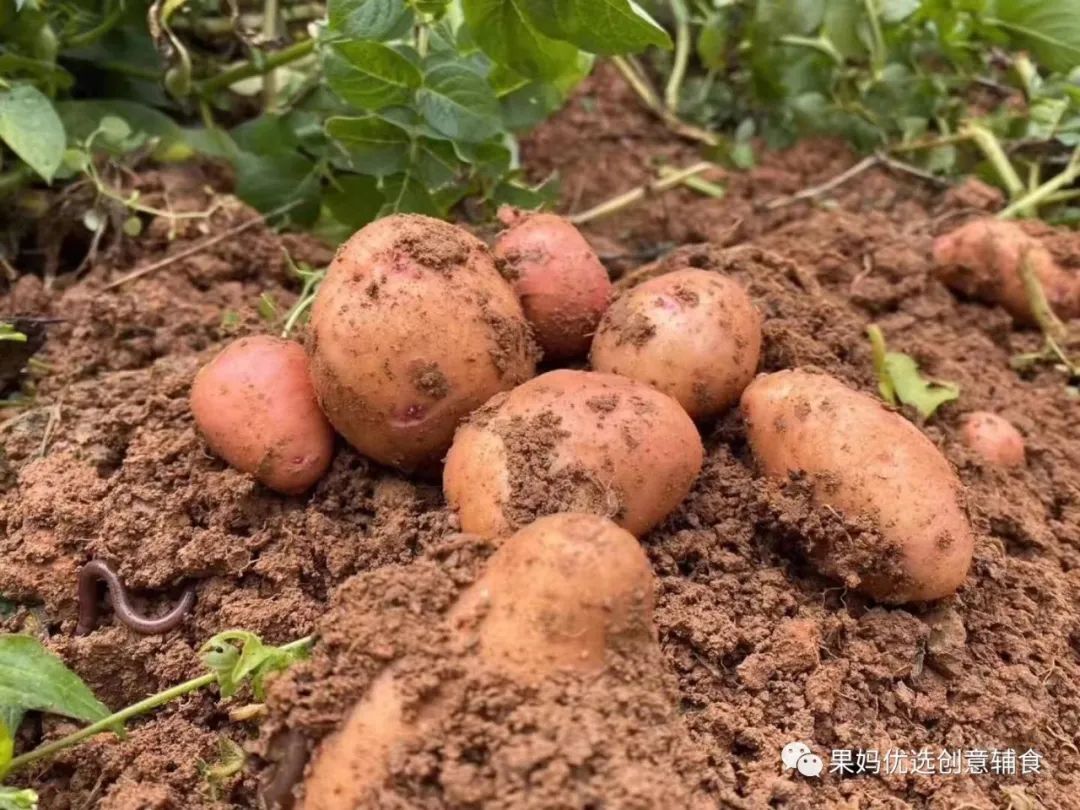 烤富硒地瓜的做法烤箱(烤箱食谱烤地瓜)-硒宝网