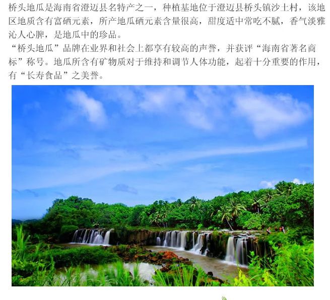 富硒地瓜孕妇可以吃吗(怀孕可以吃富硒食品)-硒宝网