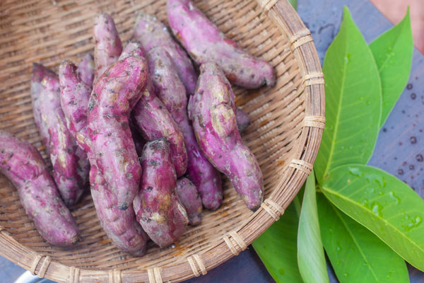 富硒地瓜的作用与功效（地瓜功效作用富硒是什么）-硒宝网