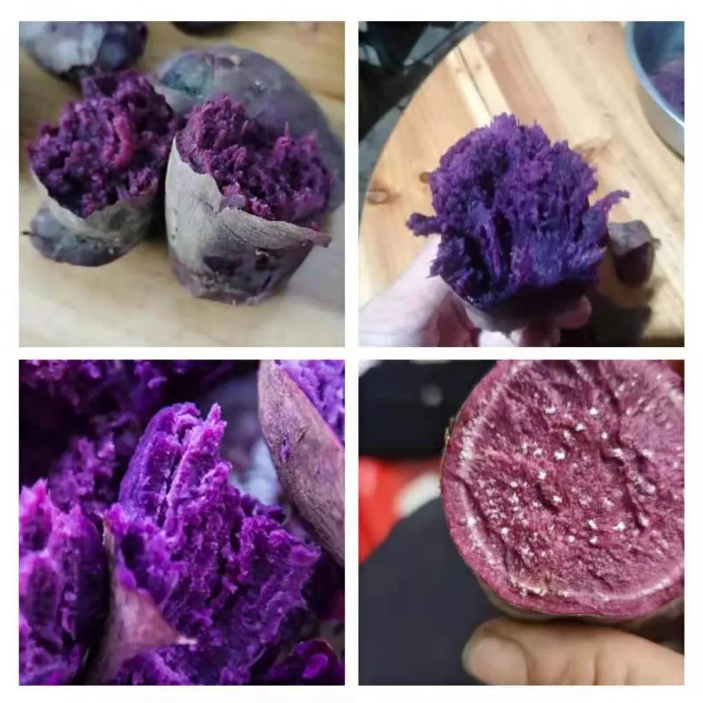 富硒地瓜的功效和作用(地瓜功效作用富硒含量)-硒宝网