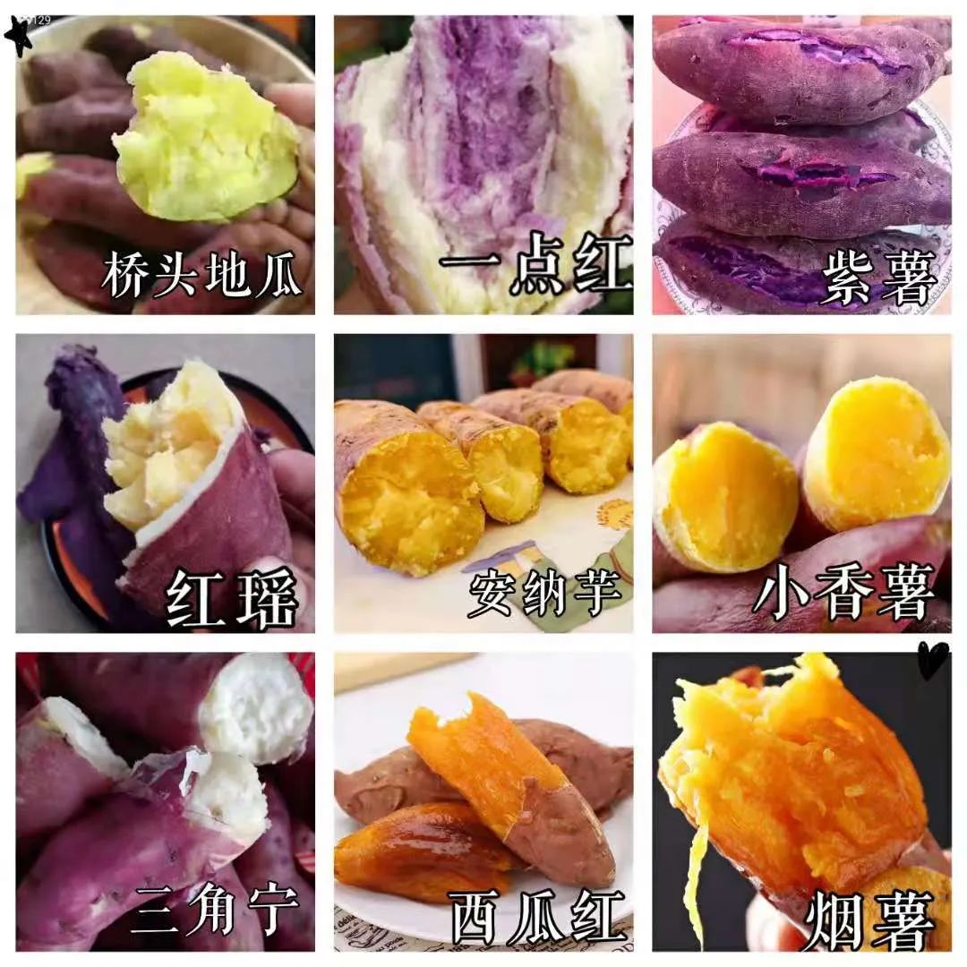 富硒地瓜的功效和作用(地瓜功效作用富硒含量)-硒宝网